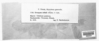 Image Associated With the Occurence